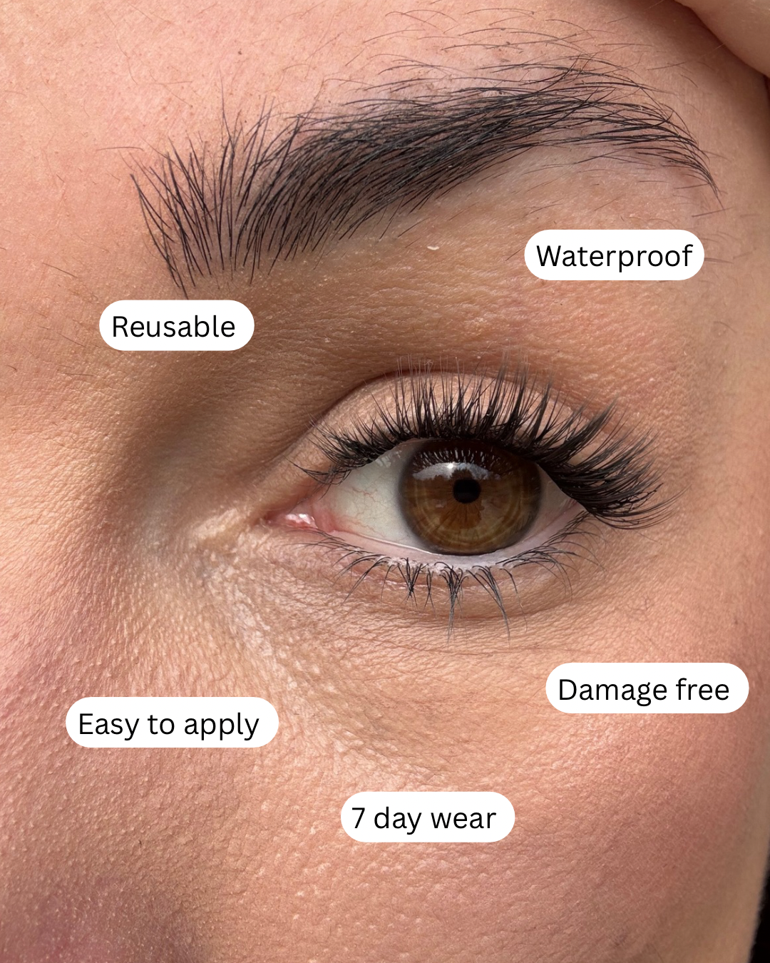 DIY Beauty Kits, at home Lash extensions, DIY cluster lashes that are reusable, easy to apply, perfect for beginners, damage free and they have 7 day wear