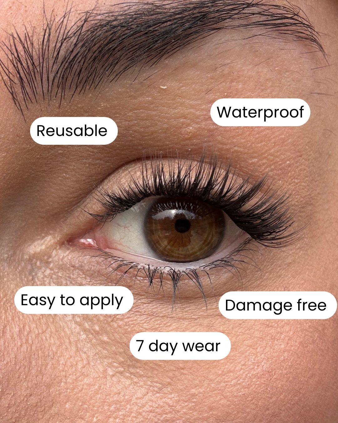 diy beauty kits diy cluster lash extensions. 7 day wear. easy to apply. 